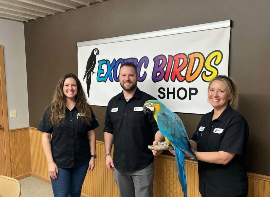 exotic birds a for sale